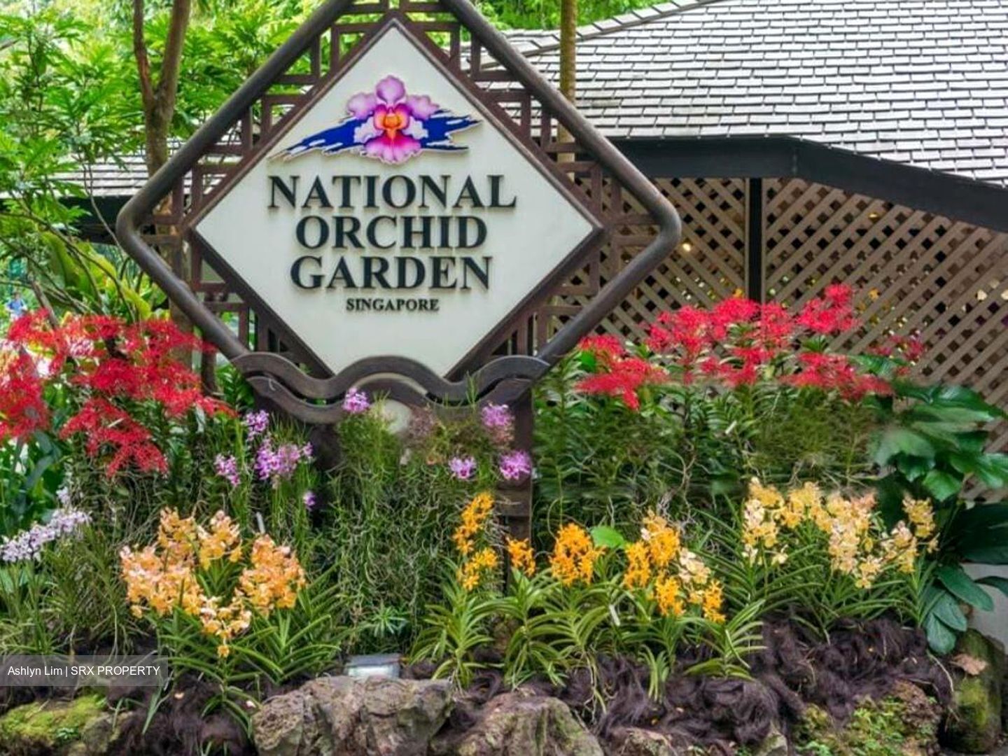 Tanglin Hill Villas (D10), Detached #455943641